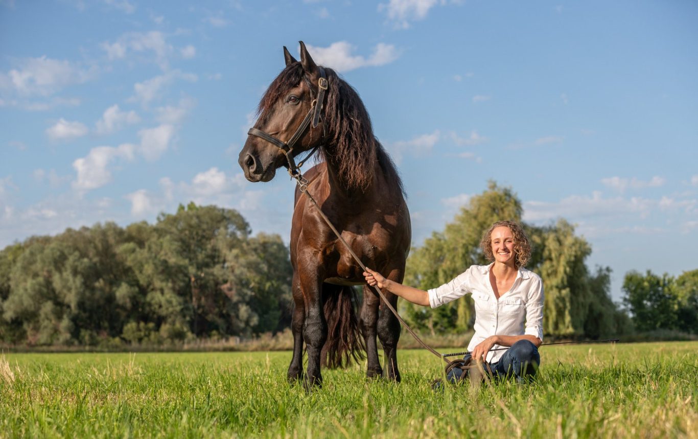 Eine Frau sitzt im Gras und streichelt ein schwarzes Pferd unter blauem Himmel.
